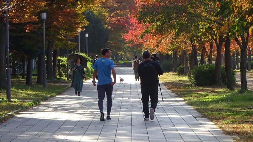 f:id:shioshiohida:20191112095355j:plain f:id:shioshiohida:20191112095355j:plain