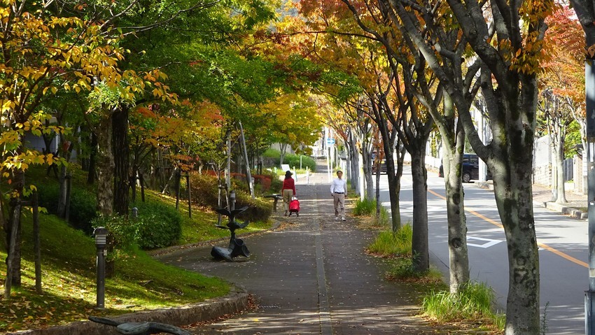 f:id:shioshiohida:20191112133810j:plain f:id:shioshiohida:20191112133810j:plain