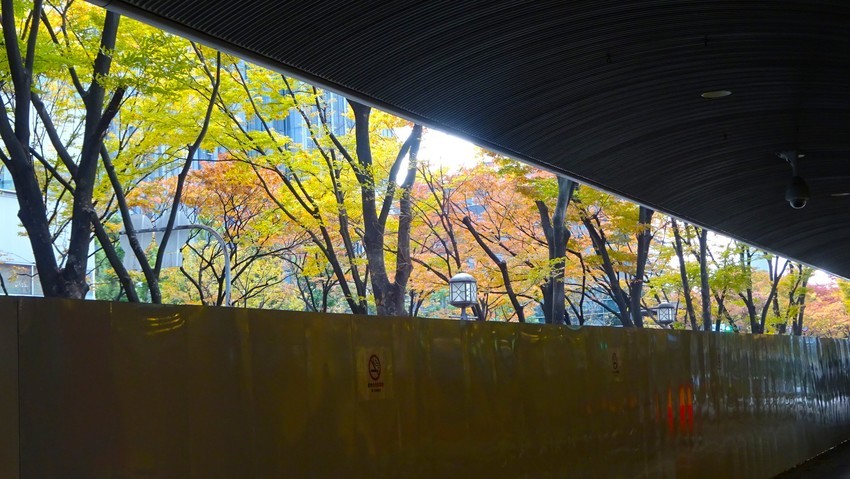 f:id:shioshiohida:20191114110357j:plain f:id:shioshiohida:20191114110357j:plain