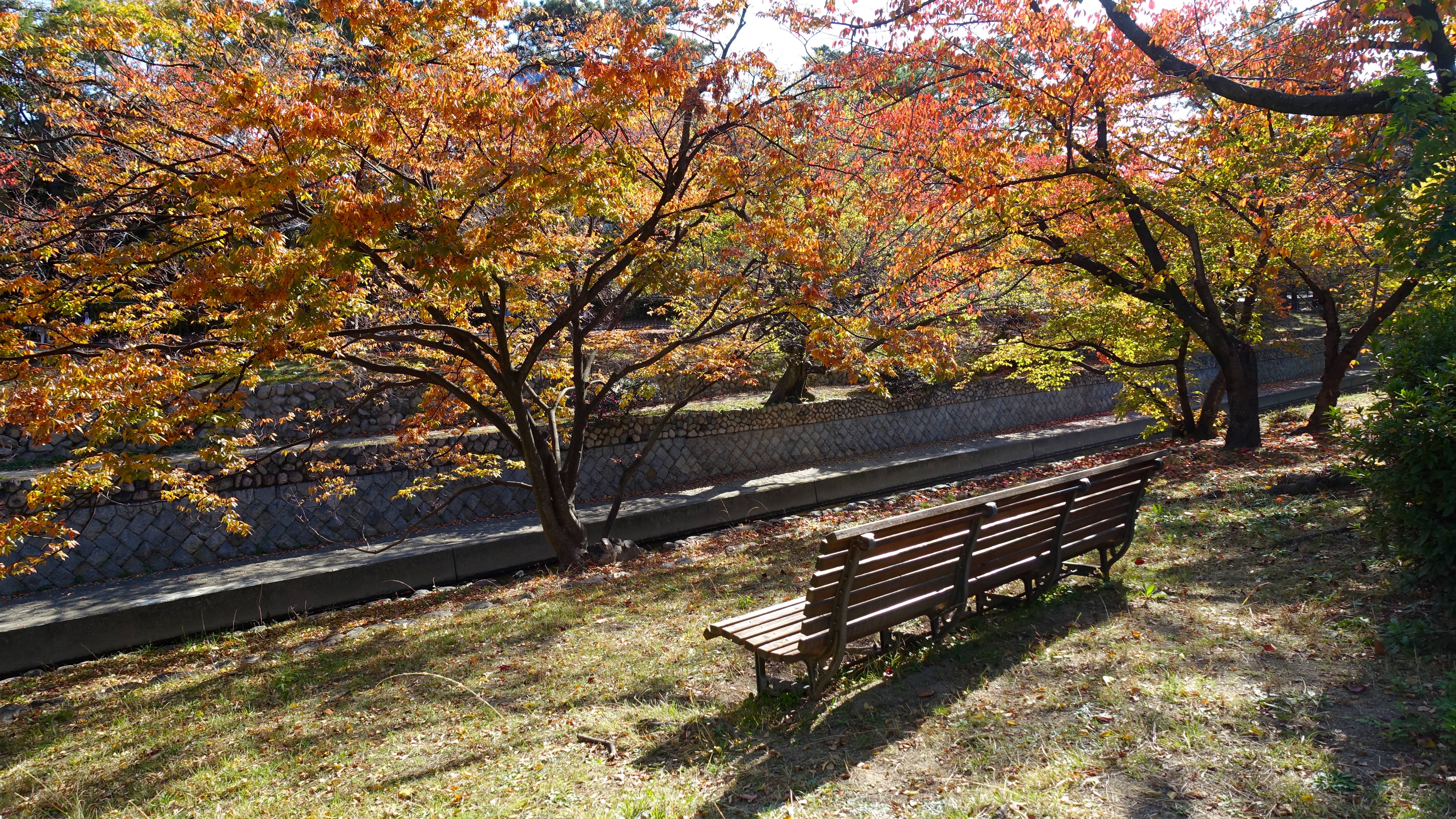https://cdn-ak.f.st-hatena.com/images/fotolife/s/shioshiohida/20191120/20191120104955_original.jpg