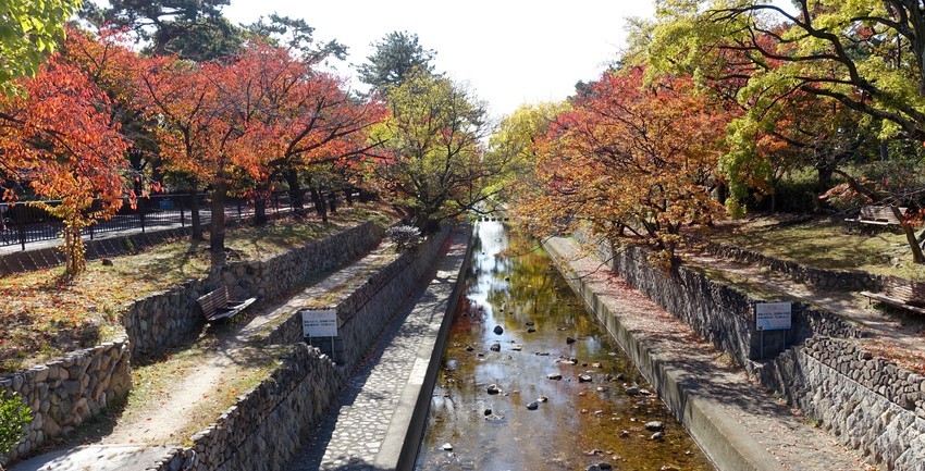 f:id:shioshiohida:20191120105116j:plain f:id:shioshiohida:20191120105116j:plain