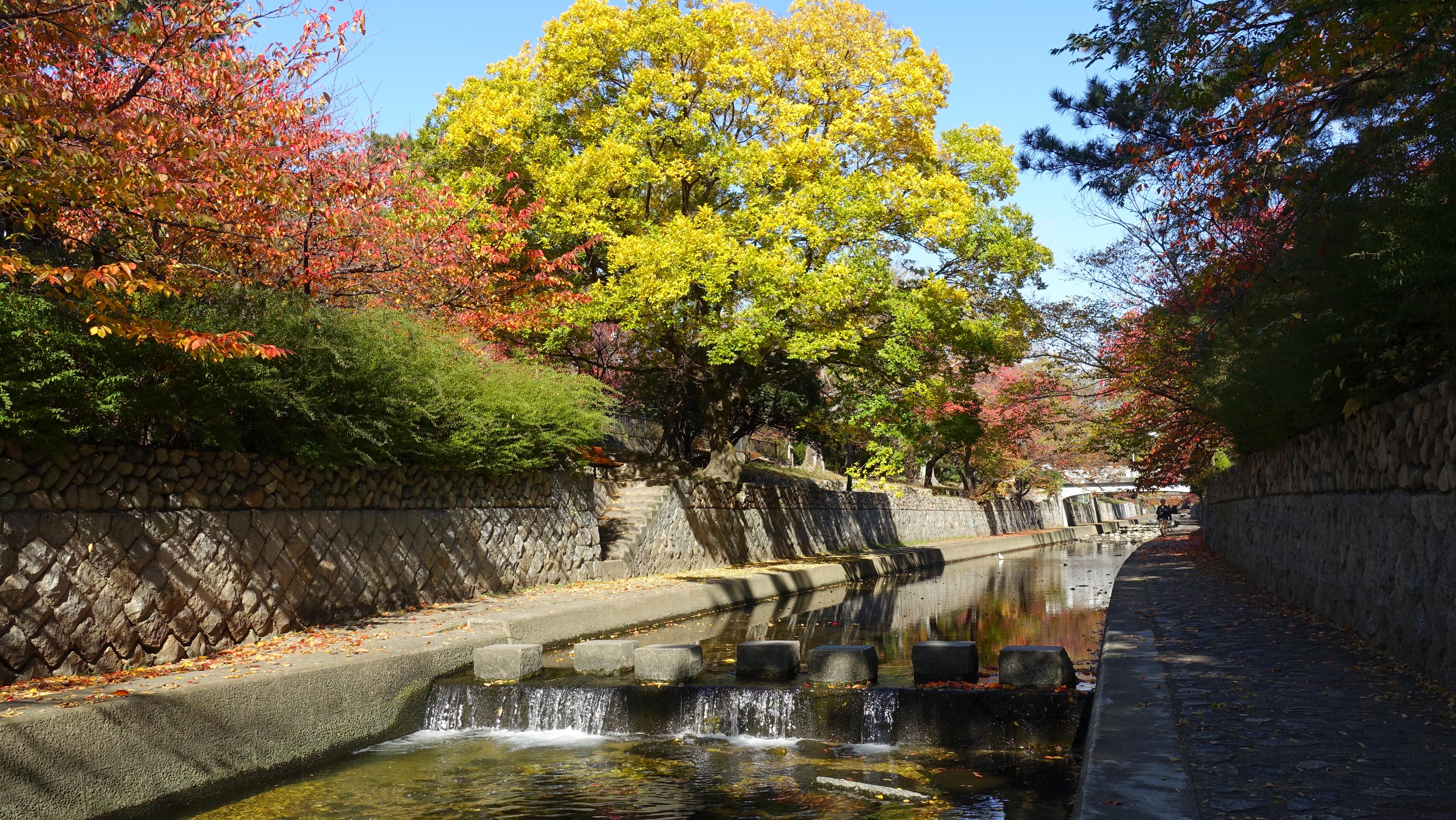 https://cdn-ak.f.st-hatena.com/images/fotolife/s/shioshiohida/20191120/20191120105450_original.jpg