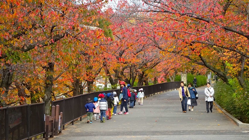 f:id:shioshiohida:20191126121156j:plain f:id:shioshiohida:20191126121156j:plain