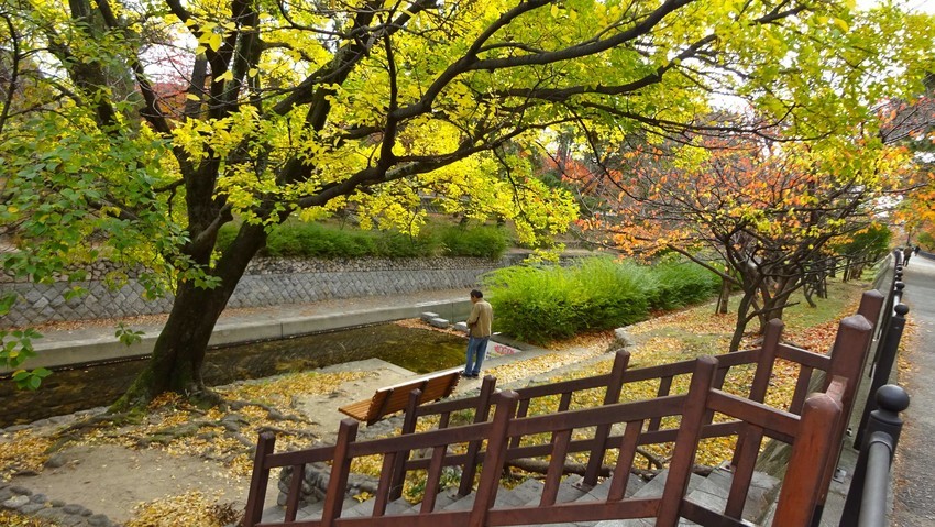 f:id:shioshiohida:20191126121416j:plain f:id:shioshiohida:20191126121416j:plain