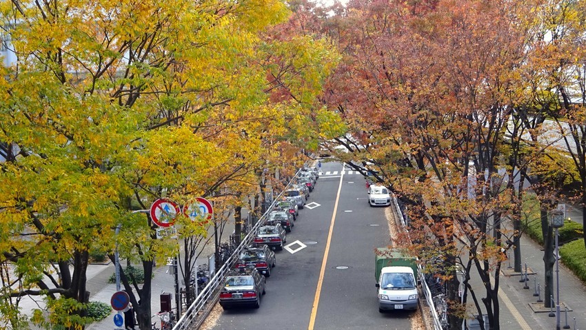 f:id:shioshiohida:20191129142929j:plain f:id:shioshiohida:20191129142929j:plain