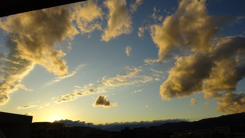 f:id:shioshiohida:20191202173042j:plain f:id:shioshiohida:20191202173042j:plain