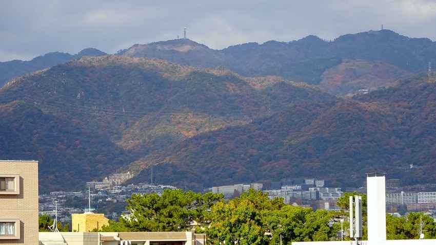 f:id:shioshiohida:20191203105427j:plain f:id:shioshiohida:20191203105427j:plain