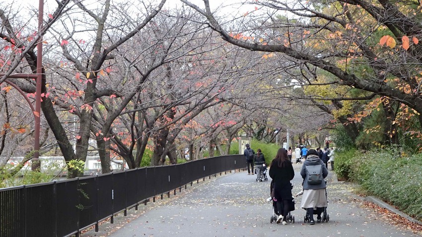f:id:shioshiohida:20191206124234j:plain f:id:shioshiohida:20191206124234j:plain