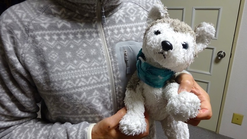 f:id:shioshiohida:20191207215954j:plain