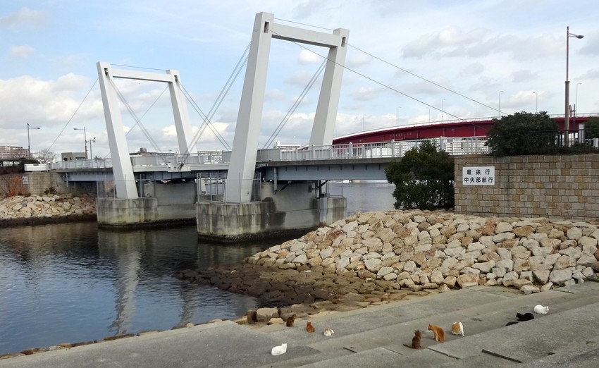 f:id:shioshiohida:20191213124945j:plain f:id:shioshiohida:20191213124945j:plain