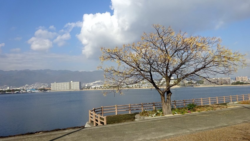 f:id:shioshiohida:20191223125920j:plain f:id:shioshiohida:20191223125920j:plain