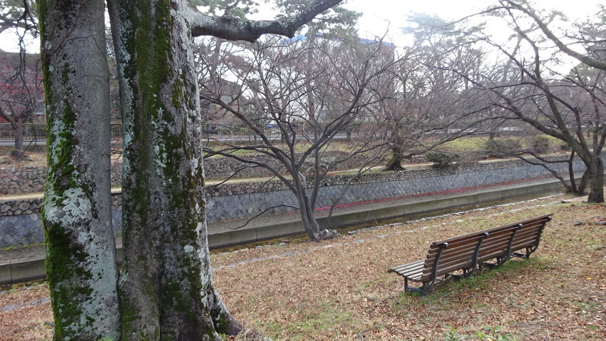 f:id:shioshiohida:20191227123846j:plain f:id:shioshiohida:20191227123846j:plain