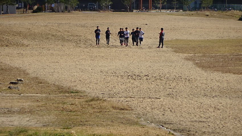 f:id:shioshiohida:20191227125236j:plain f:id:shioshiohida:20191227125236j:plain
