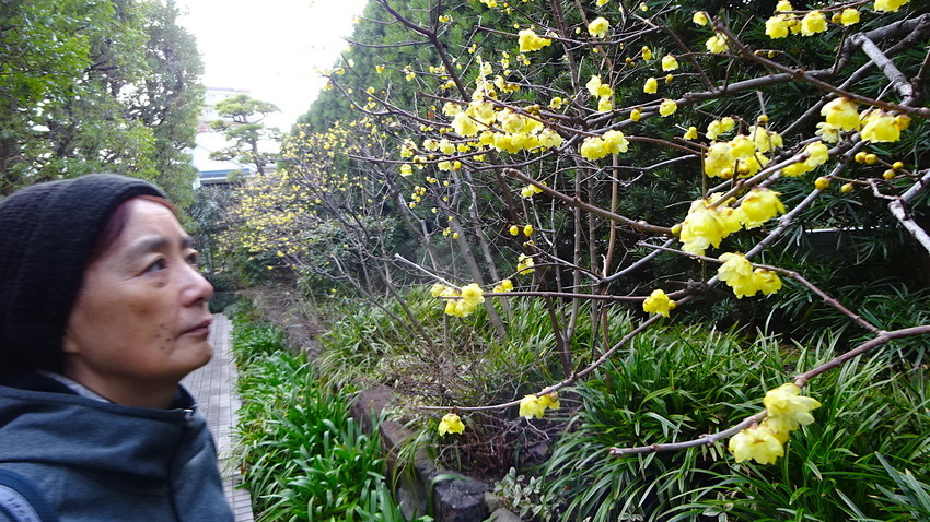 f:id:shioshiohida:20200124165610j:plain