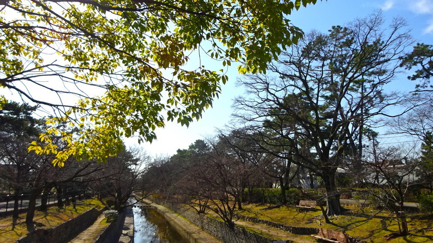 f:id:shioshiohida:20200204122825j:plain