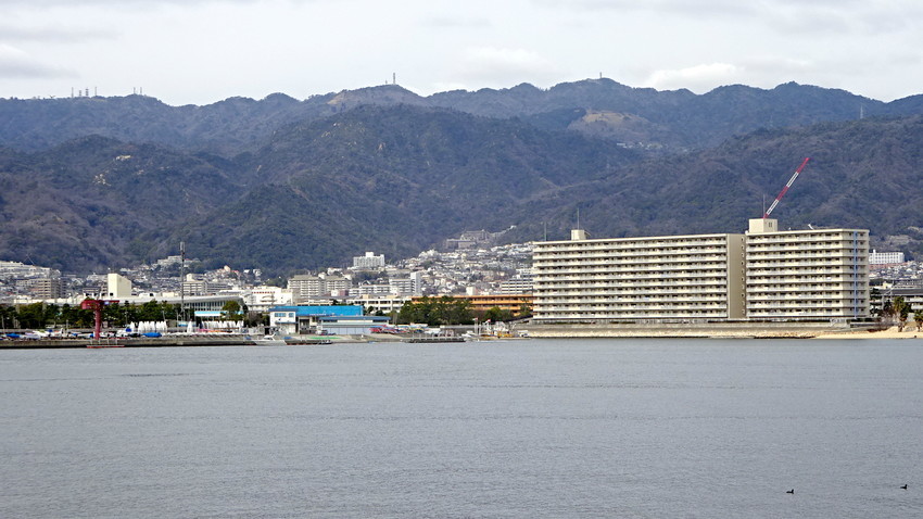 f:id:shioshiohida:20200228214825j:plain f:id:shioshiohida:20200228214825j:plain