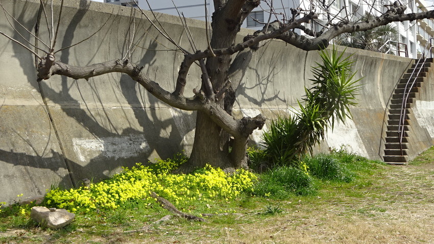 f:id:shioshiohida:20200304104550j:plain