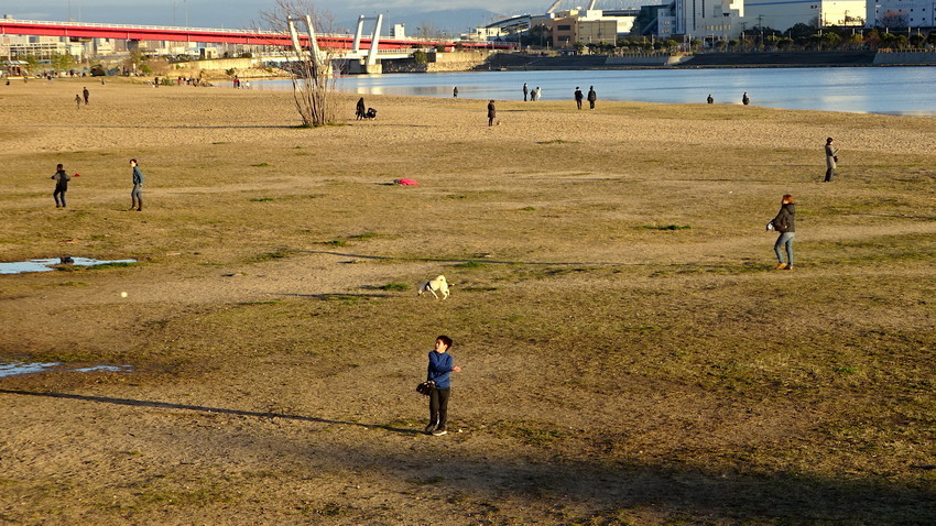 f:id:shioshiohida:20200309001346j:plain