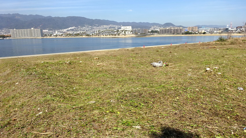 f:id:shioshiohida:20200310005818j:plain