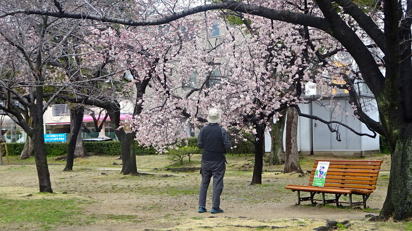 f:id:shioshiohida:20200311000005j:plain