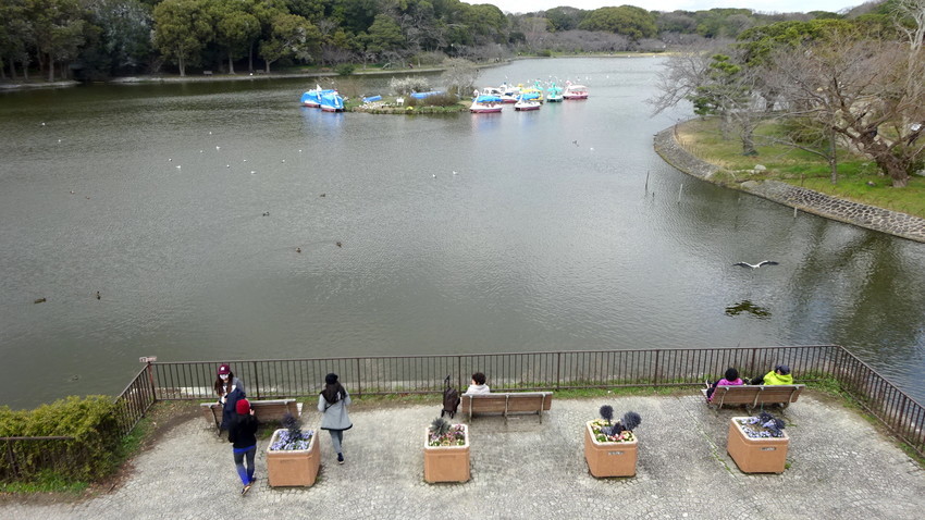 f:id:shioshiohida:20200312012549j:plain f:id:shioshiohida:20200312012549j:plain