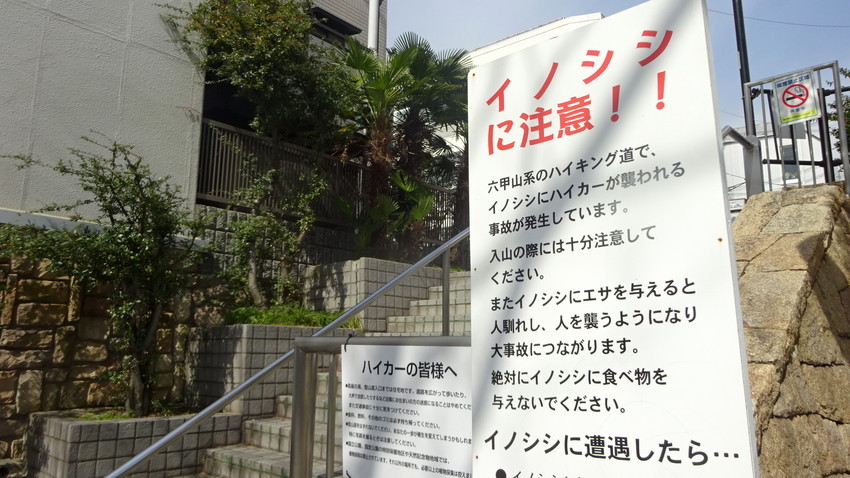 f:id:shioshiohida:20200314001711j:plain