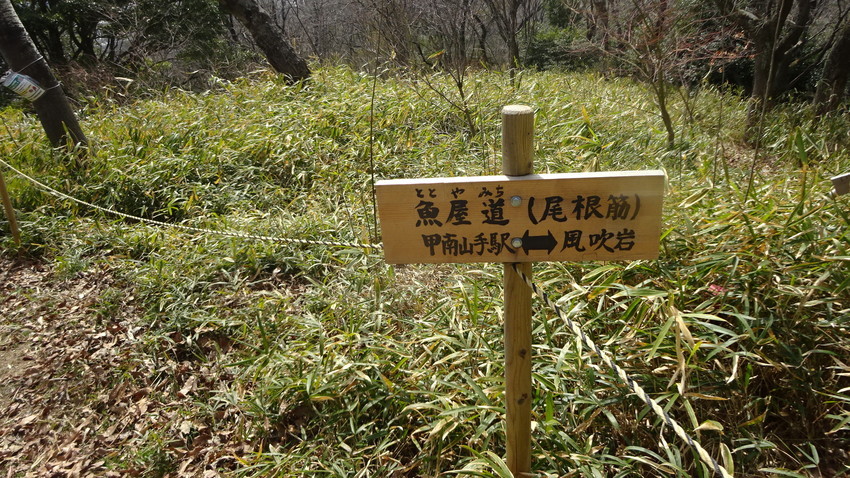 f:id:shioshiohida:20200314001920j:plain