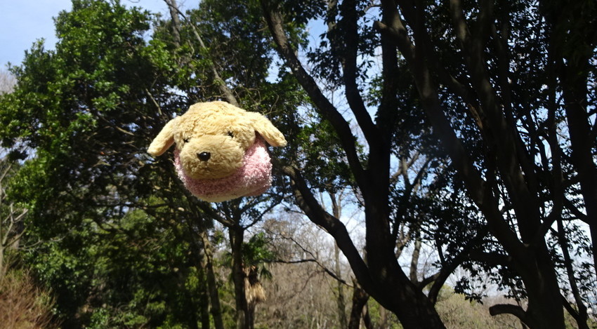 f:id:shioshiohida:20200314001934j:plain