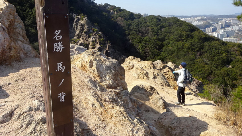 f:id:shioshiohida:20200315204922j:plain f:id:shioshiohida:20200315204922j:plain