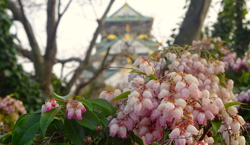 f:id:shioshiohida:20200318184911j:plain f:id:shioshiohida:20200318184911j:plain