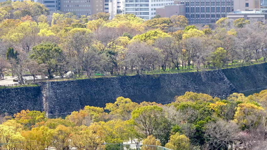 f:id:shioshiohida:20200326124757j:plain f:id:shioshiohida:20200326124757j:plain