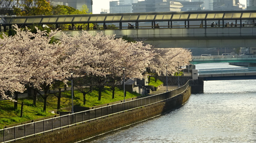 f:id:shioshiohida:20200407171745j:plain
