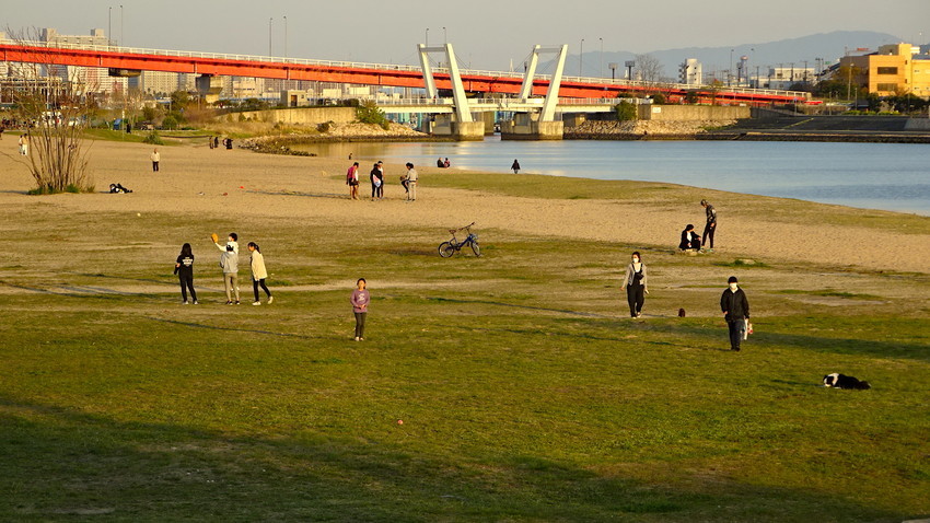 f:id:shioshiohida:20200414175246j:plain f:id:shioshiohida:20200414175246j:plain