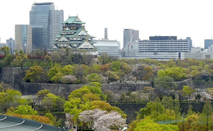 f:id:shioshiohida:20200415142748j:plain f:id:shioshiohida:20200415142748j:plain