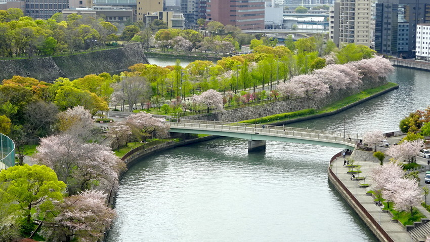 f:id:shioshiohida:20200415142810j:plain f:id:shioshiohida:20200415142810j:plain