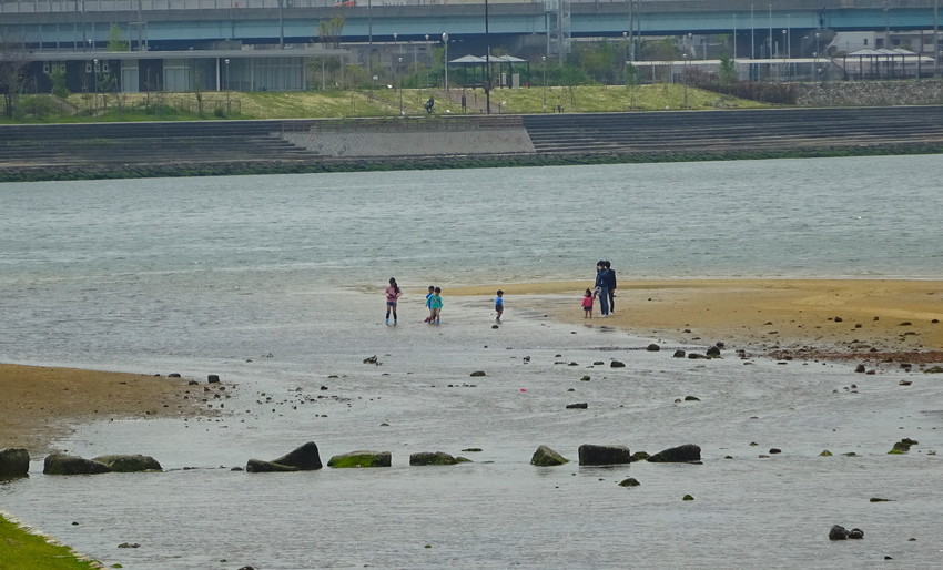 f:id:shioshiohida:20200421112008j:plain