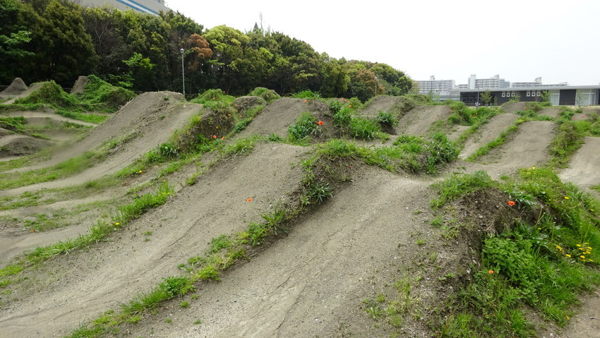 f:id:shioshiohida:20200421113352j:plain