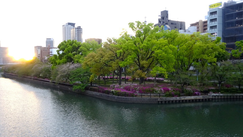 f:id:shioshiohida:20200422181642j:plain f:id:shioshiohida:20200422181642j:plain