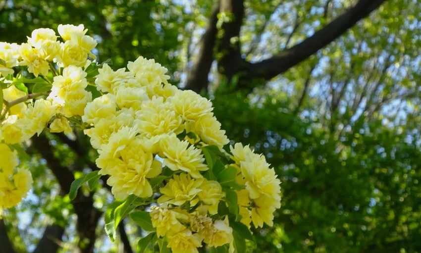f:id:shioshiohida:20200425162042j:plain f:id:shioshiohida:20200425162042j:plain