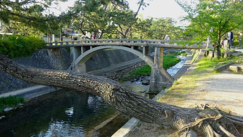 f:id:shioshiohida:20200425172653j:plain f:id:shioshiohida:20200425172653j:plain