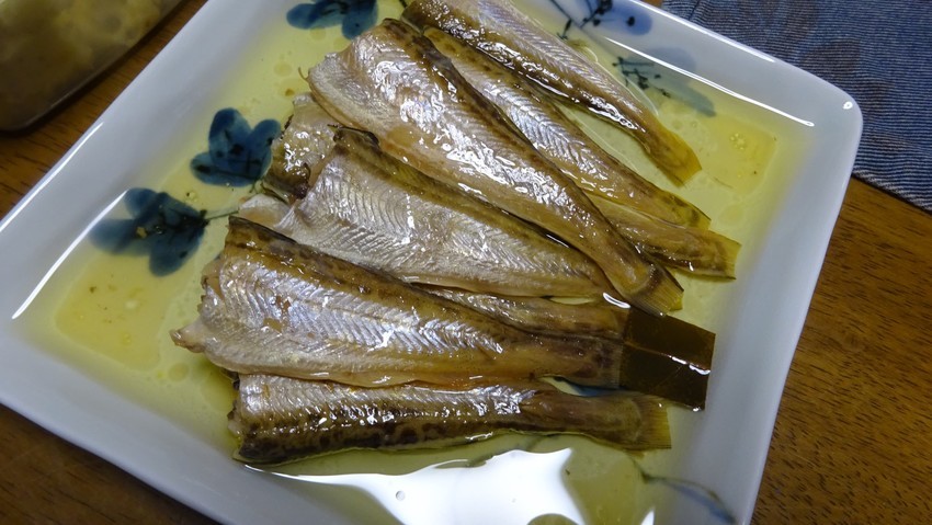f:id:shioshiohida:20200426192620j:plain