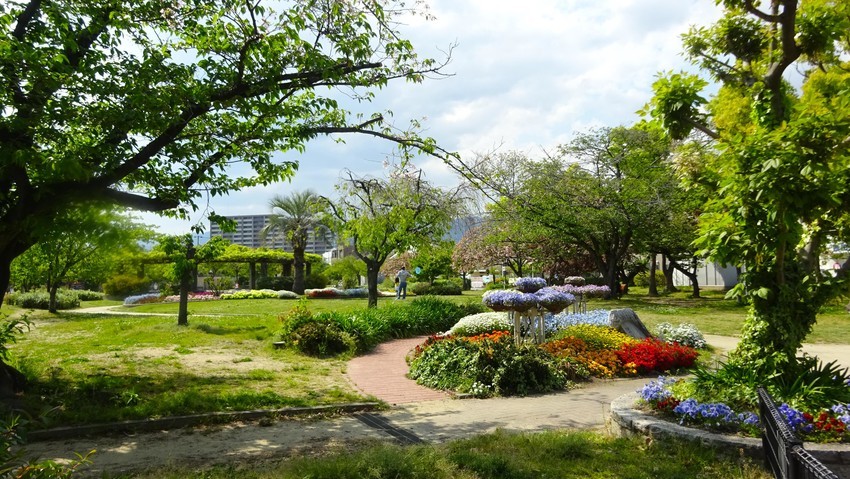 f:id:shioshiohida:20200428144325j:plain