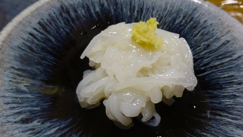 f:id:shioshiohida:20200504194922j:plain