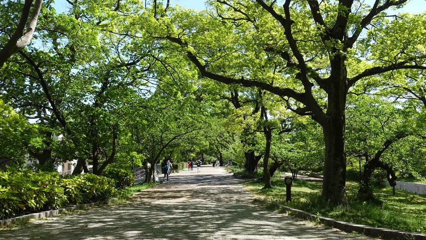 f:id:shioshiohida:20200507135535j:plain