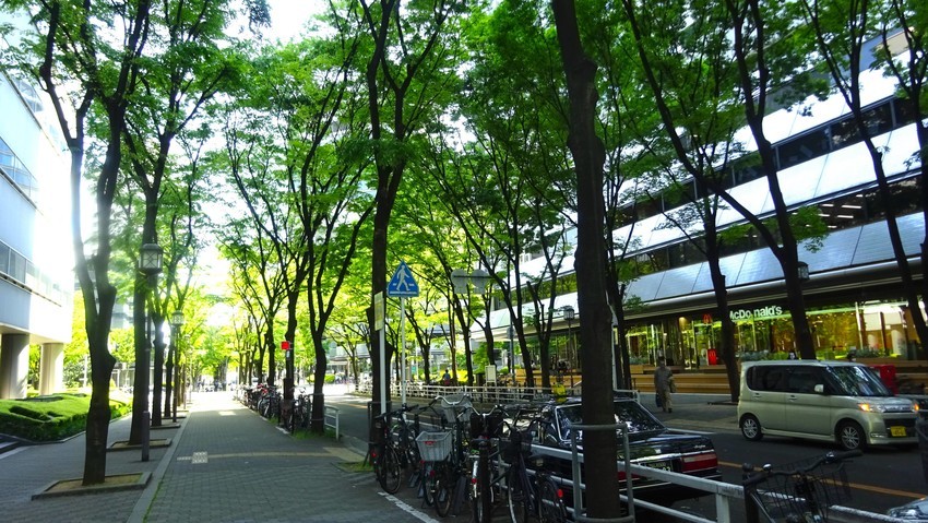 f:id:shioshiohida:20200508135807j:plain