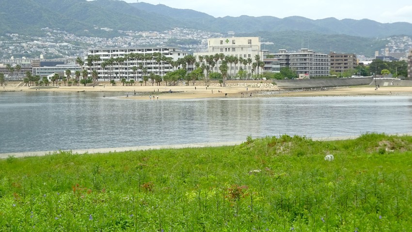f:id:shioshiohida:20200509114910j:plain
