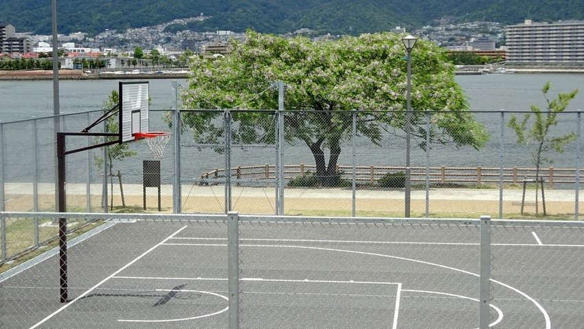 f:id:shioshiohida:20200521113223j:plain