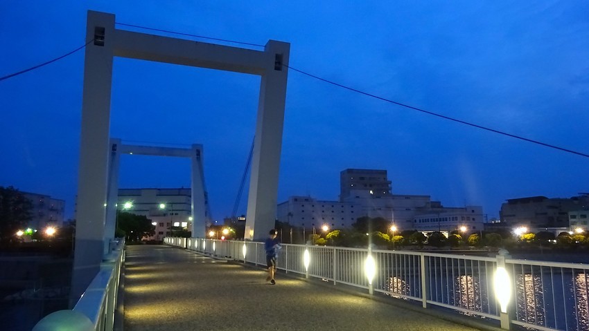 f:id:shioshiohida:20200525192706j:plain f:id:shioshiohida:20200525192706j:plain