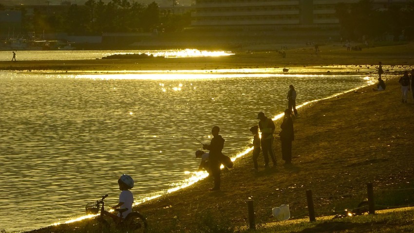 f:id:shioshiohida:20200529181015j:plain f:id:shioshiohida:20200529181015j:plain