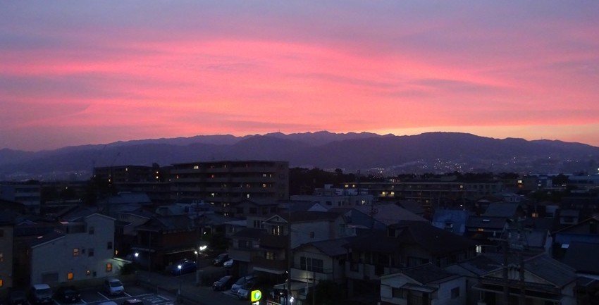 f:id:shioshiohida:20200603192438j:plain f:id:shioshiohida:20200603192438j:plain